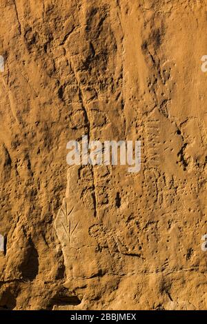 Pétroglyphes stylisés sculptés par les peuples ancestraux de Pueblo, le long de la piste des pétroglyphes dans le parc historique national de la culture Chaco, Nouveau-Mexique, États-Unis Banque D'Images