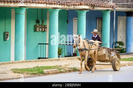 Panier à cheval, Vinales, Pinar del Rio Province, Cuba Banque D'Images