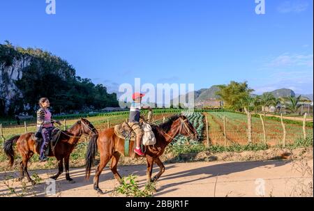 Enfants sur chevaux, Vinales, Pinar del Rio Province, Cuba Banque D'Images