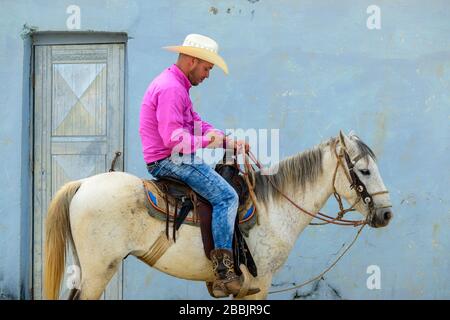 Cowboy, Vinales, province de Pinar del Rio, Cuba Banque D'Images