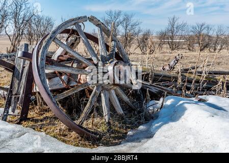 Gros plan sur une roue de wagon en bois cassée abandonnée dans un champ en Saskatchewan Banque D'Images