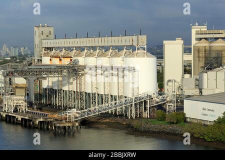 Les Silos de blé, Brisbane, Queensland, Australie Banque D'Images