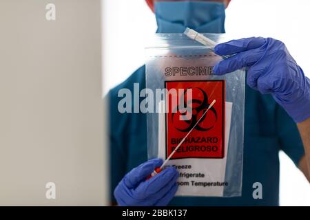 Un scientifique de laboratoire médical tenant un sac en plastique contenant un tube à essai avec du matériel de prélèvement d'échantillons viraux d'écouvillon de gorge, Coronavirus Banque D'Images
