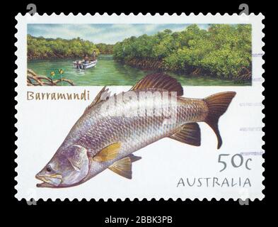 AUSTRALIE - VERS 2003 : un timbre imprimé en Australie montre une image du poisson Barramundi, vers 2003. Banque D'Images