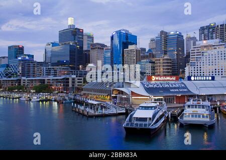 Wildlife World & Aquarium à Darling Harbour, Central Business District, Sydney, Nouvelle-Galles du Sud, Australie Banque D'Images