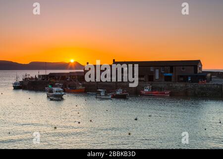 Lyme Regis, Dorset, Royaume-Uni. 1 avril 2020. Météo britannique. Le ciel clair brille en orange au-dessus du port de Cobb au lever du soleil à Lyme Regis à Dorset. Crédit photo : Graham Hunt/Alay Live News Banque D'Images