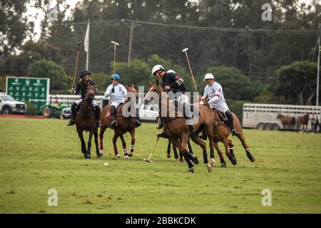 Polo Club de Santa Barbara Banque D'Images