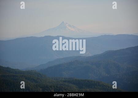 Mont Hood de l'Oregon vu d'un point de vue près de Mt St Helens, État de Washington, États-Unis. Banque D'Images