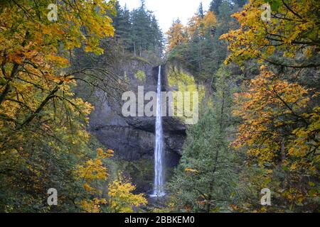 Vue d'automne depuis le sentier des chutes de Latourell, gorge de la rivière Columbia, Oregon, États-Unis Banque D'Images