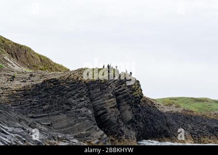Les incroyables falaises de la petite et sauvage Staffa île dans les hébrides intérieures d'Écosse avec quelques oiseaux noirs perchés dessus Banque D'Images