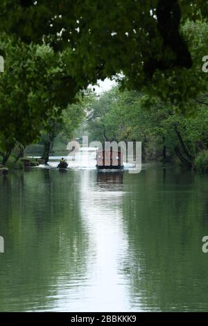 Hangzhou, la province chinoise de Zhejiang. 1 avril 2020. Un bateau navigue dans le parc national des zones humides de Xixi, à Hangzhou, dans la province de Zhejiang en Chine orientale, le 1er avril 2020. Crédit: Weng Xinyang/Xinhua/Alay Live News Banque D'Images