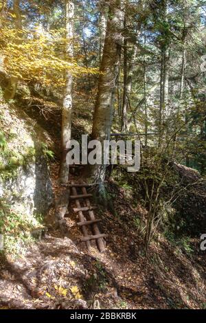 Des marches en bois le long du sentier Prielom Hornadu dans le paradis slovaque en automne Banque D'Images