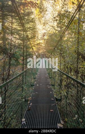 Un pont traversant la gorge de la rivière Hornad dans le paradis slovaque en automne sur le sentier Prielom Hornadu Banque D'Images