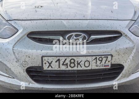 Saint-Pétersbourg, RUSSIE - 11 juillet 2019 : miges insectes sur le pare-chocs et la capuche de la voiture. Banque D'Images