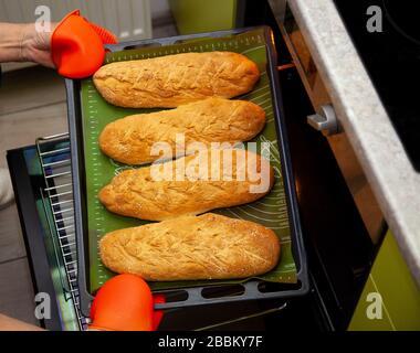 Du pain fait maison sur une plaque de cuisson est sorti du four. Pain long, baguette à la maison dans la cuisine. Produits de boulangerie. Faites cuire à la maison. Banque D'Images