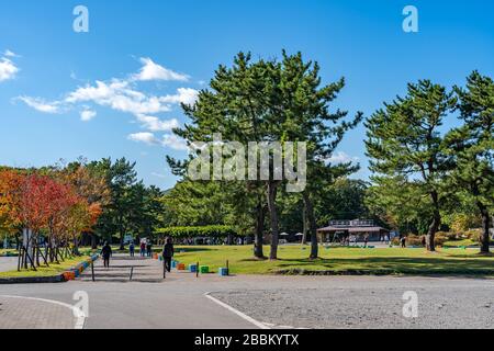 Parc quasi-national d'Onuma. Paysage ensoleillé de jour. Sous-préfecture d'Oshima, ville de Nanae, Hokkaido, Japon Banque D'Images