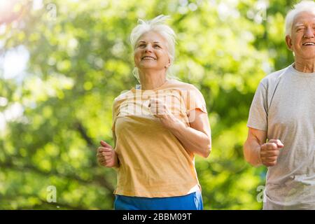 Senior Couple Exercising In Park Banque D'Images