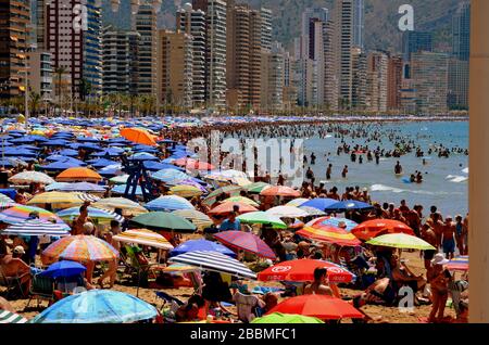 Des milliers de parasols sont disponibles pour une journée ensoleillée dans la station balnéaire espagnole de Benidorm. C'est la plage Poniente très animée en été. Banque D'Images