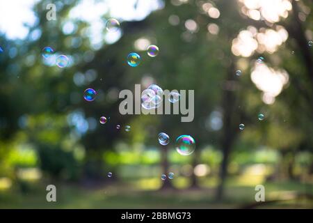 Gros plan de quelques bulles de savon planant dans l'air pendant le coucher du soleil, bulle souffle Banque D'Images