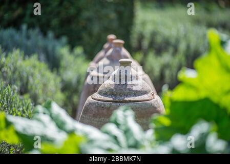 Jardin de campagne anglais. Pots de forçage en terre cuite dans un jardin de cottage. Towcester, Northamptonshire, Royaume-Uni Banque D'Images