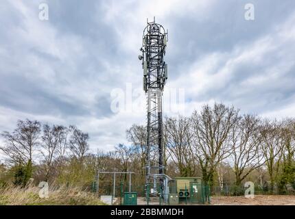 Tour de télécommunications en treillis d'acier de grande taille faisant partie du réseau mobile de transmission de télécommunications, Woking, Surrey, sud-est de l'Angleterre Banque D'Images