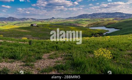 Image typique du paysage de Toscane Italie avec des champs colorés au printemps Banque D'Images