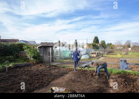 Travailler sur un nouvel allotissement afin de cultiver leur propre nourriture et de rester en bonne santé Banque D'Images