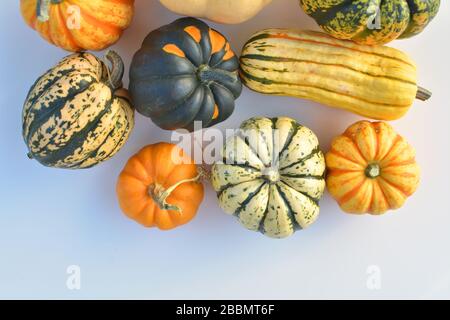 Variétés de citrouilles et courges Banque D'Images