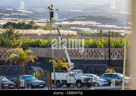 Technicien dans un sélectionneur de cerisiers travaillant sur un feu de rue, Playa San Juan, Tenerife, îles Canaries, Espagne Banque D'Images
