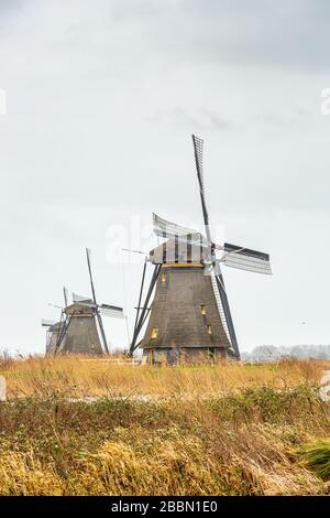 Moulins à vent (pompes à vent) à Kinderdijk; un village de la province néerlandaise de la Hollande-Méridionale, connu pour ses moulins à vent du XVIIIe siècle. Banque D'Images