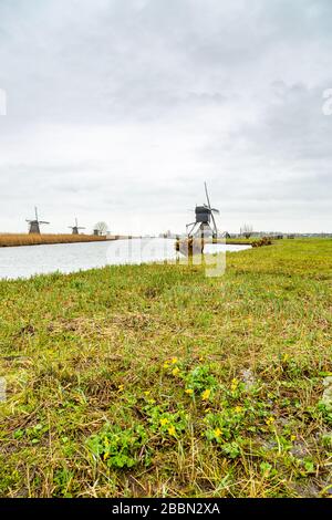 Moulins à vent (pompes à vent) à Kinderdijk; un village de la province néerlandaise de la Hollande-Méridionale, connu pour ses moulins à vent du XVIIIe siècle. Banque D'Images