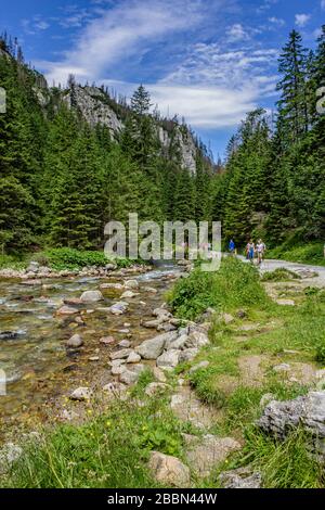 Marcheurs sur un sentier facilement accessible dans la vallée de Kościeliska, près de Kiry, Zakopane, Pologne. Juillet 2018. Banque D'Images