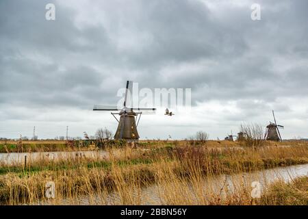 Moulins à vent (pompes à vent) à Kinderdijk; un village de la province néerlandaise de la Hollande-Méridionale, connu pour ses moulins à vent du XVIIIe siècle. Banque D'Images