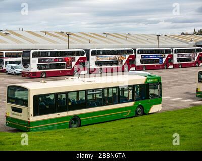 Edinburgh, Écosse, Royaume-Uni. 1 avril 2020. Verrouillage de Covid-19 : avec la réduction importante des services d'autobus pendant la pandémie de Coronavirus, le dépôt de bus Lothian à Seafield est fermé avec un grand nombre d'autobus stationnés en lignes Banque D'Images