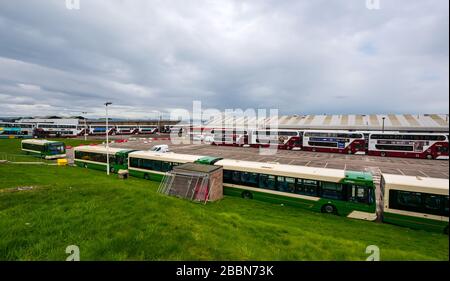 Edinburgh, Écosse, Royaume-Uni. 1 avril 2020. Verrouillage de Covid-19 : avec la réduction importante des services d'autobus pendant la pandémie de Coronavirus, le dépôt de bus Lothian à Seafield est fermé avec un grand nombre d'autobus stationnés en lignes Banque D'Images
