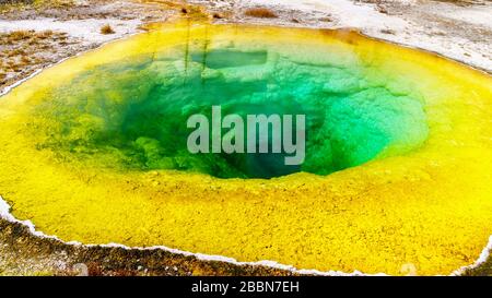 Dépôts minéraux de soufre jaune autour des eaux vertes et turquoise de la piscine de gloire du matin dans le bassin de Geyser supérieur du parc national de Yellowstone Banque D'Images