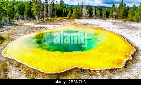 Dépôts minéraux de soufre jaune autour des eaux vertes et turquoise de la piscine de gloire du matin dans le bassin de Geyser supérieur du parc national de Yellowstone Banque D'Images
