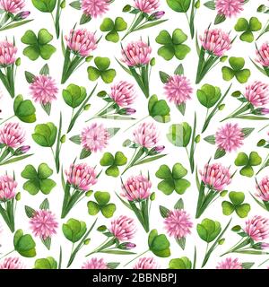 Motif fleuri sans coutures illustré à la main avec un trèfle et des feuilles. Texture florale vive sur fond blanc. Banque D'Images