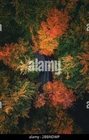 Autriche, Salzbourg. 12 octobre 2019. Surplombant une route traversant une forêt colorée près de Salzbourg. Banque D'Images