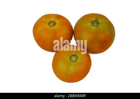 Trois tomates mûres de taille moyenne de couleur rouge isolées dans un fond blanc vide Banque D'Images