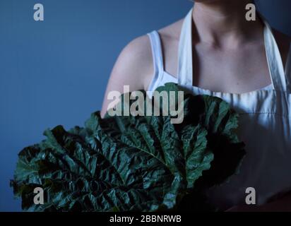 Woman holding vegetable Banque D'Images