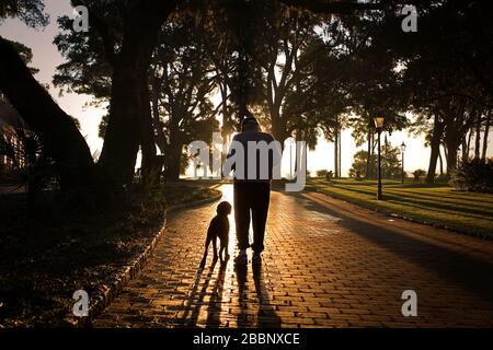 Homme marchant son chien le long d'un chemin au coucher du soleil. Banque D'Images