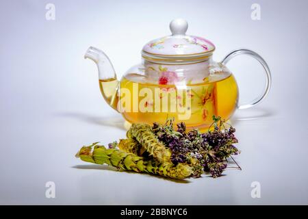 Infusion de plantes dans une théière, herbes sautées lâches affichées - origan mauve séché et ferronnie (Sideritis, thé de montagne ou thé de berger) Banque D'Images