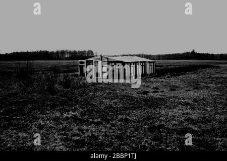 Traversez et autour de Kapice. Pologne, Podlasie, Biebrza Marshes.27.12.2012 Banque D'Images