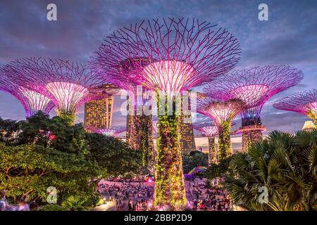 L'Supertree Grove spectacle léger à Gardens by the Bay Nature Park, Singapore Banque D'Images