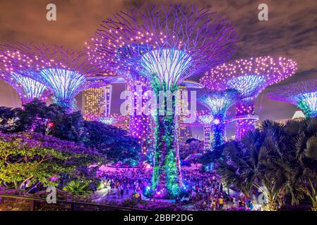 L'Supertree Grove spectacle léger à Gardens by the Bay Nature Park, Singapore Banque D'Images