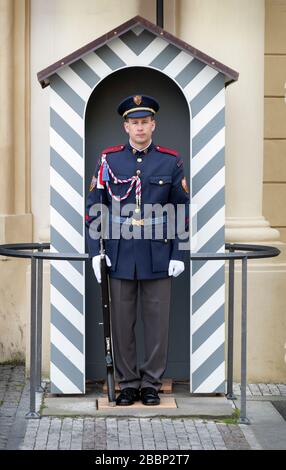 Une sentinelle se tient gelée devant le Château de Prague à Prague, en République tchèque. Banque D'Images