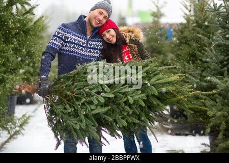 Couple qui achète Christmas Tree Banque D'Images