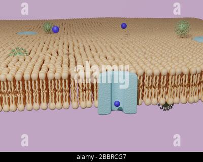 Molécule passant par un canal protéique et un virus passant par une membrane cellulaire à double couche lipidique. Transport de cellules, rendu tridimensionnel. Banque D'Images