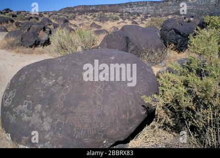 Des pétroglyphes, Celebration Park, Snake River Birds of Prey National Conservation Area, Idaho Banque D'Images